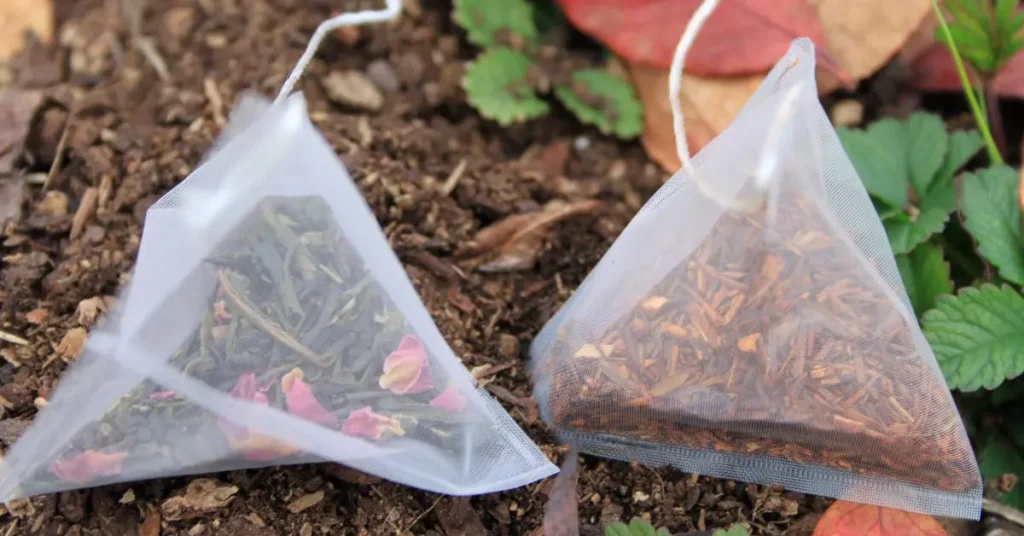 10 formas de usar bolsitas de té usadas en el jardín – Mis Consejos Jardinería