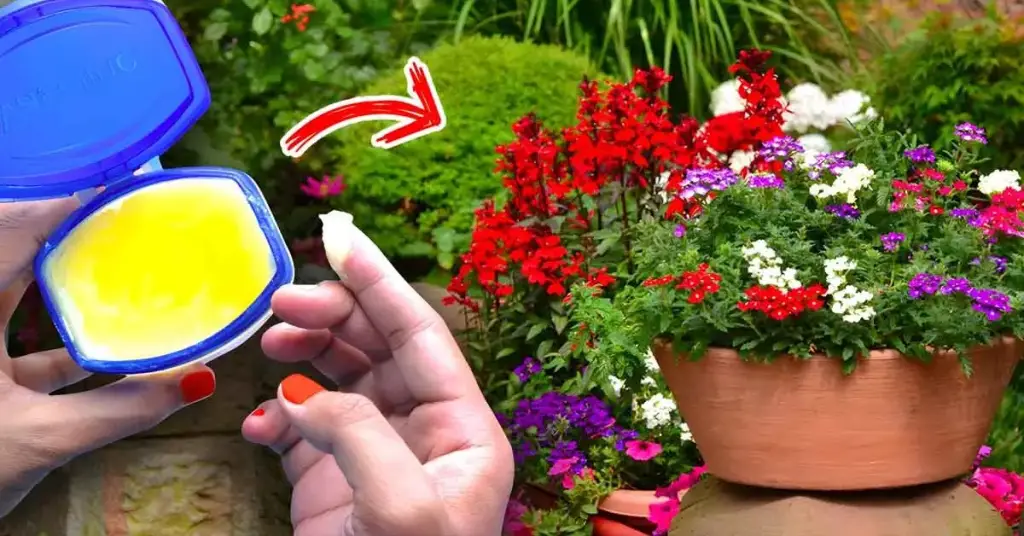 10 ingeniosos usos de la vaselina en el jardín – Mis Consejos Jardinería
