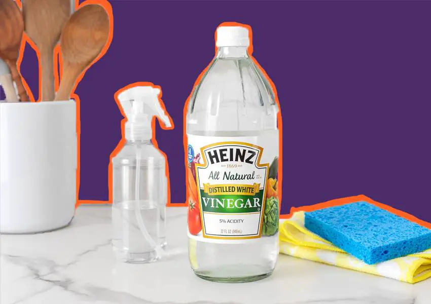 10 usos del vinagre para limpiar toda la casa – Mis Consejos Jardinería