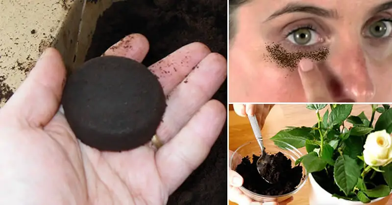 10 usos sorprendentes de los posos de café que pueden ser muy útiles – Mis Consejos Jardinería