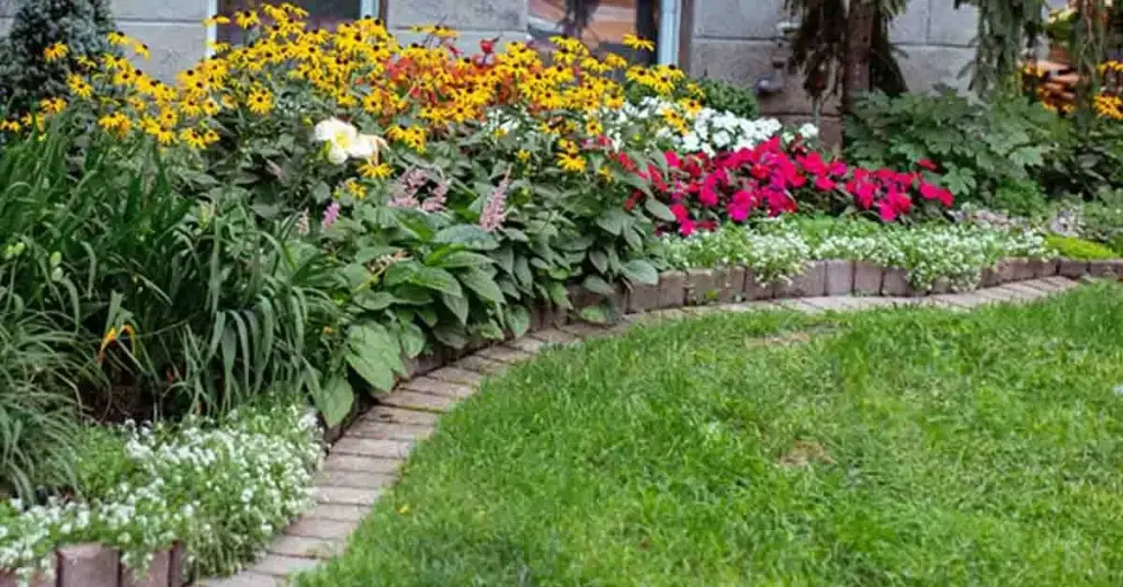 12 plantas perfectas para los bordes de tu jardín – Mis Consejos Jardinería