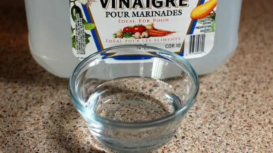 17 usos del vinagre que te hacen la vida más fácil – Mis Consejos Jardinería