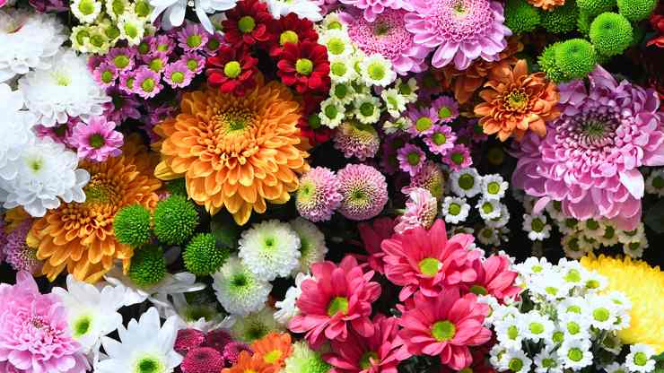 flores flores