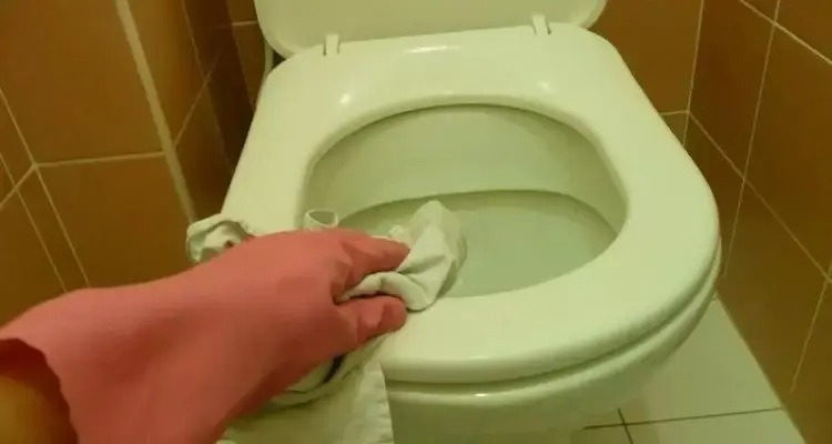 9 maneras de deshacerse del olor a orina en el baño – Mis Consejos Jardinería