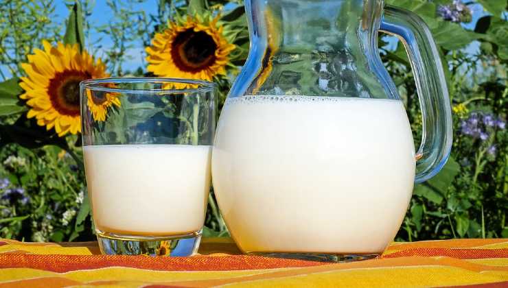 leche vegetal leche vegetal