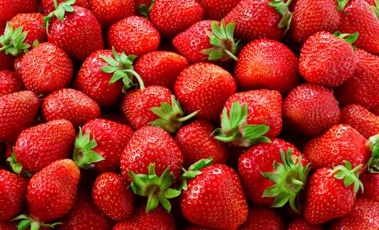 fresas