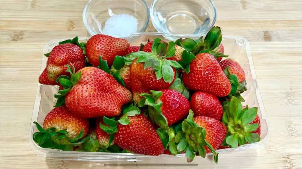 Fresas llenas de gusanos e insectos: cómo desinfectarlas fácilmente sin coste alguno – Mis Consejos Jardinería