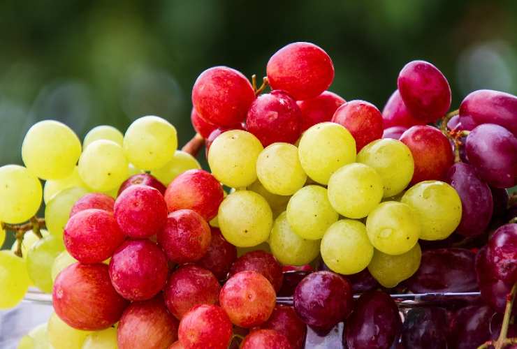 Uvas blancas y negras