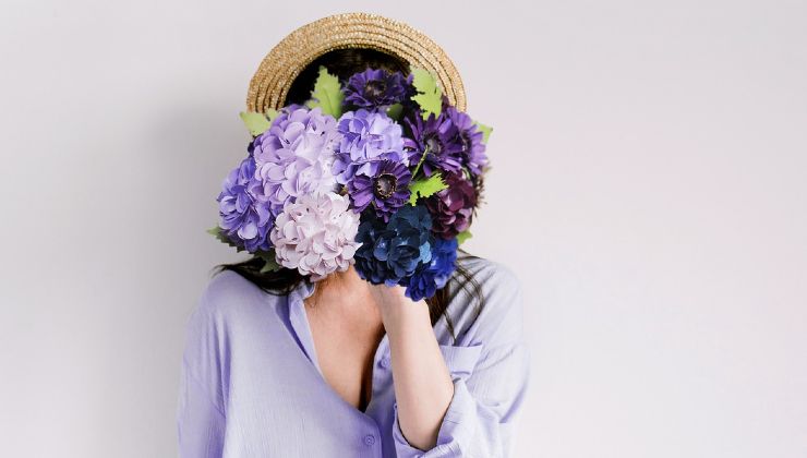hortensias de colores