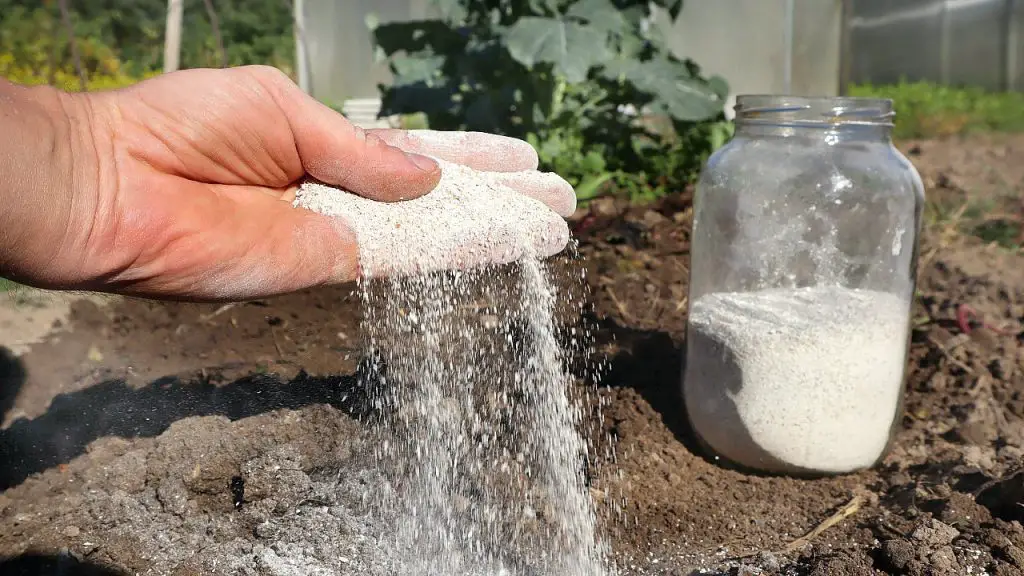 Extiéndalo en el balcón o jardín, las plantas florecerán en minutos. – Mis Consejos Jardinería