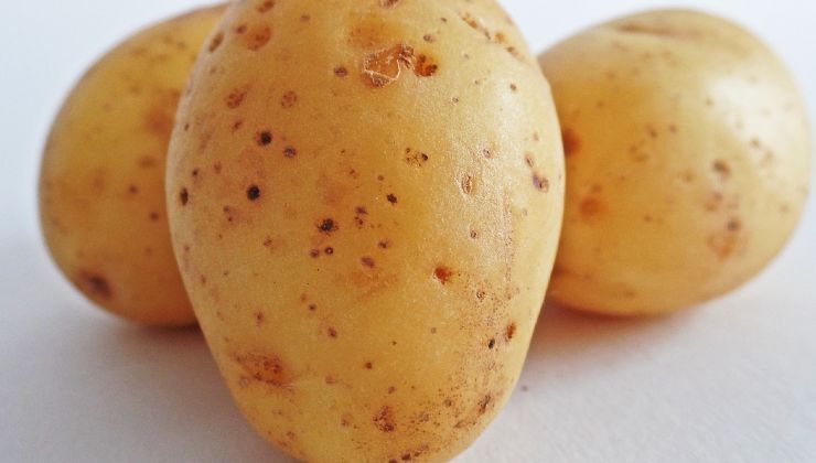papas para crema antiarrugas