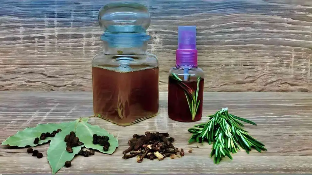 No solo crecerá todo tu cabello, sino que ni siquiera se caerá: 3 ingredientes son suficientes – Mis Consejos Jardinería