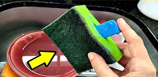 ¿Por qué se debe poner este producto en la esponja antes de lavar los platos? Este truco existe por una buena razón. – Mis Consejos Jardinería