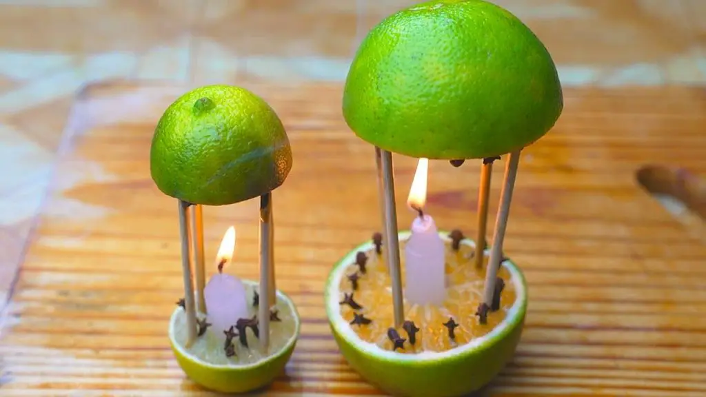 Con este remedio no solo perfumarás tu hogar, sino que los mosquitos nunca más volverán – Mis Consejos Jardinería