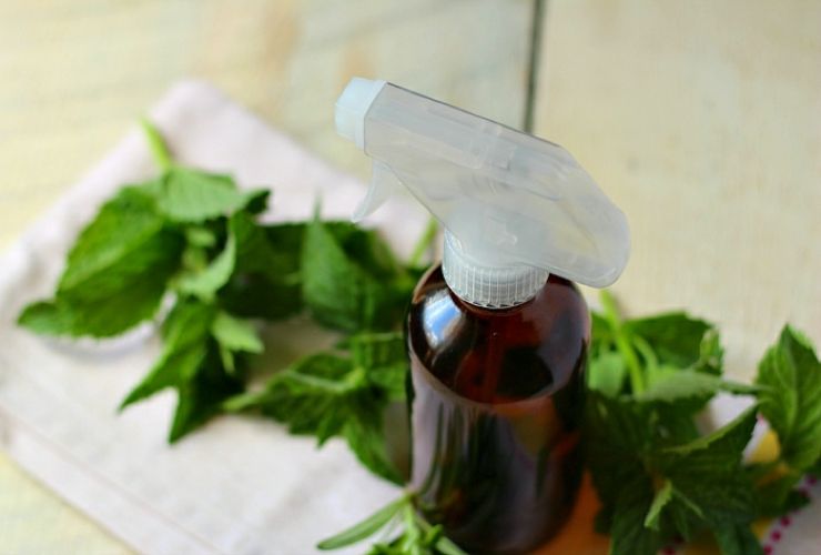 Perfuma la casa con hojas de menta