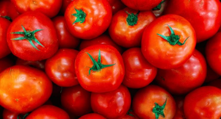 Tomates