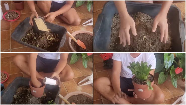 Técnica para fertilizar plantas de forma natural.