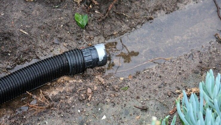 Vierta agua en el suelo del vecino