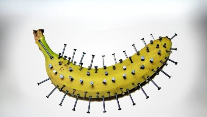 Clavar clavos en un plátano, sorprendiendo lo que sucede en solo 10 minutos – Mis Consejos Jardinería