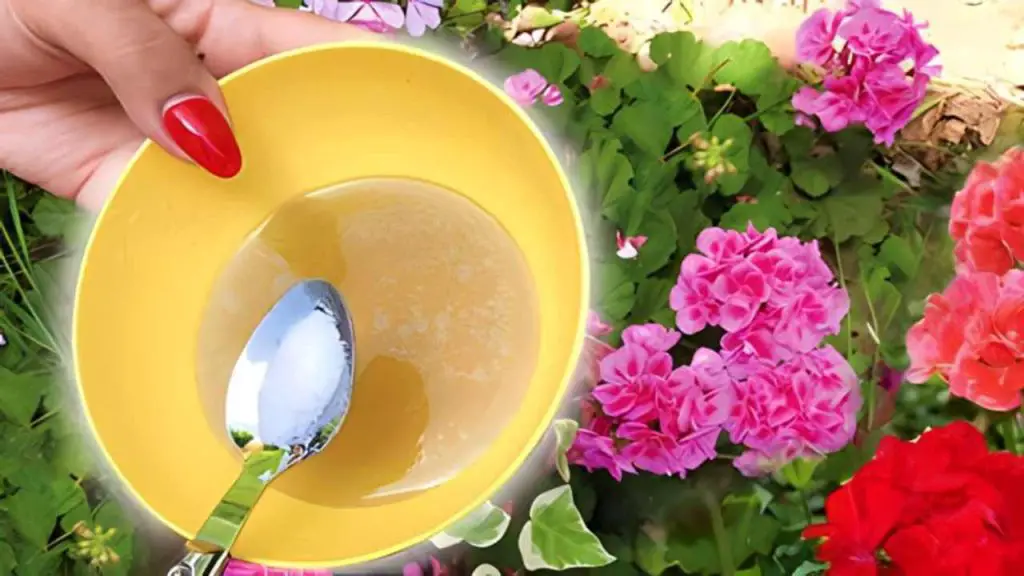 Si quieres un jardín que sea la envidia del barrio utiliza esta poderosa mezcla – Mis Consejos Jardinería