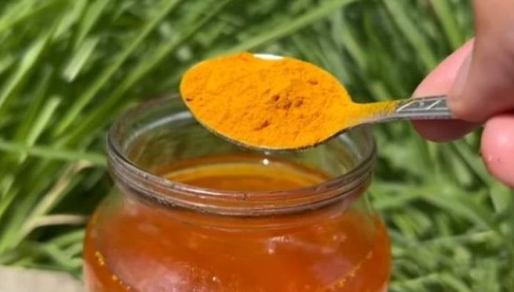 Fertilizante natural a base de cúrcuma y leche