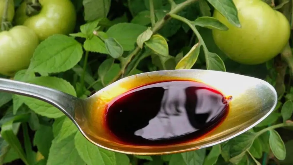 Suplemento clave para todas las plantas: tomates, calabacines y pepinos duplicados – Mis Consejos Jardinería