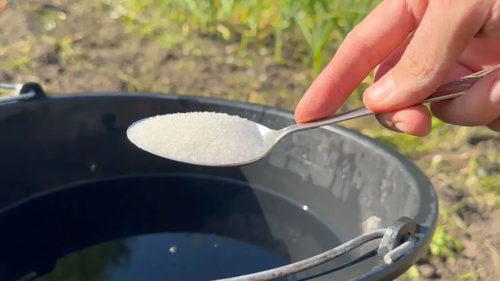 Vierte este cubo de agua en el suelo si quieres una cosecha rica y abundante – Mis Consejos Jardinería