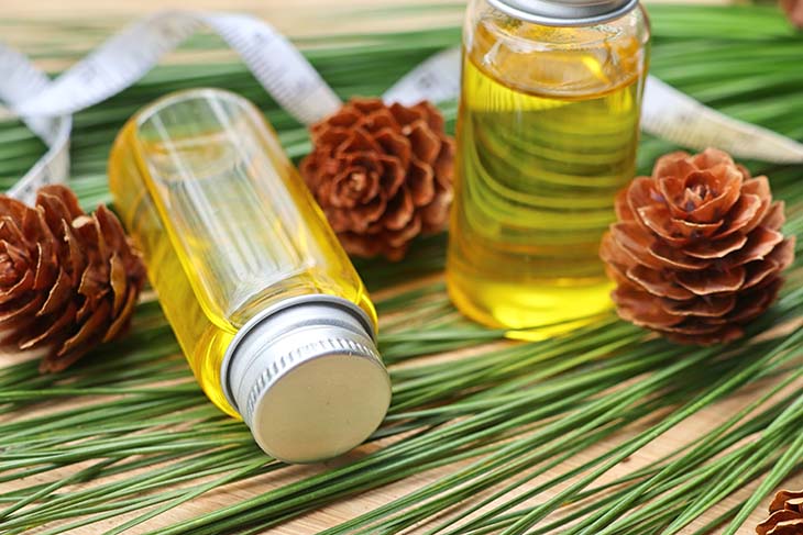 fragancia de aroma de pino