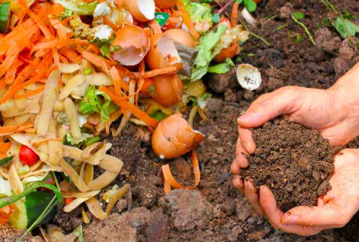 Fertilización ecológica