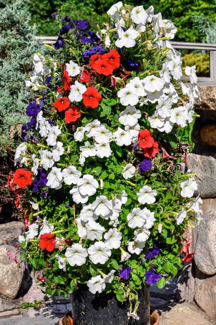 torre de flores