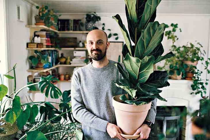 plantas en casa