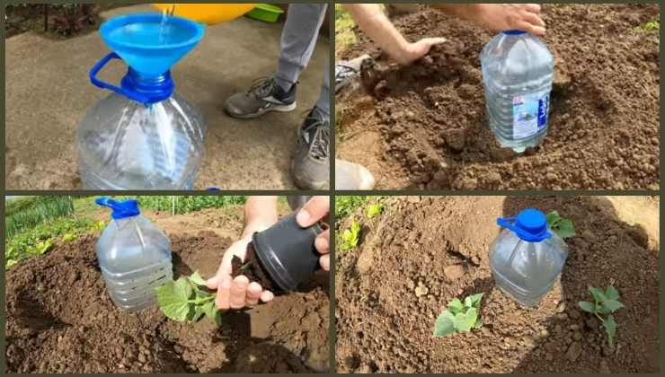 Técnica simple y conveniente para regar plantas