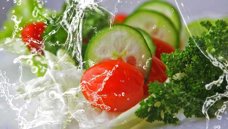 tomates y pepinos