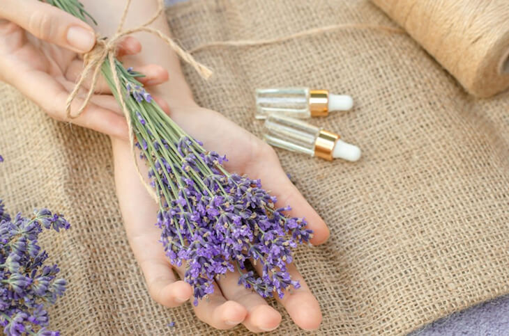 Lavanda 4