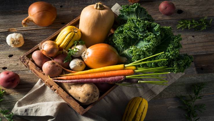 Suelo: El ingrediente que duplica la cosecha