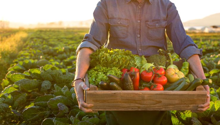 Tierra: El polvo que hace que las verduras sean 10 veces mejores