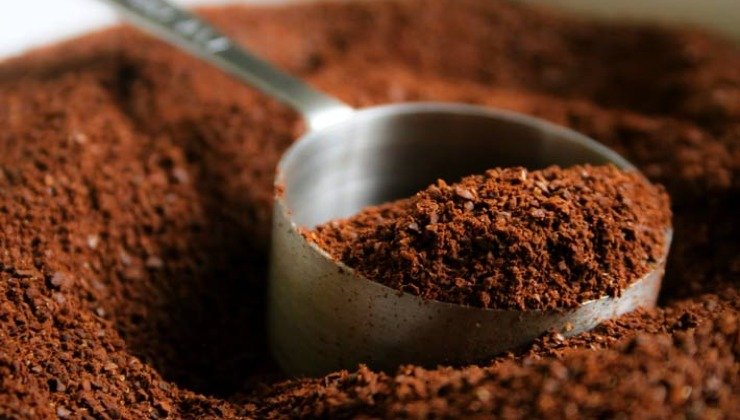 Café