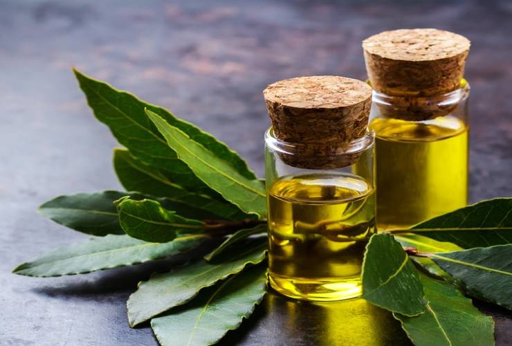 aceite de laurel