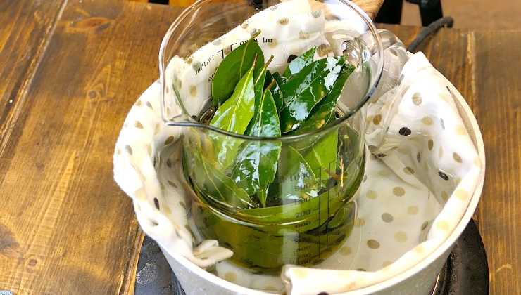 laurel y aceite