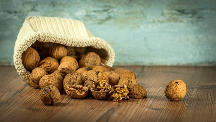 Plantas: el ingrediente para hacerlas crecer fuertes y robustas
