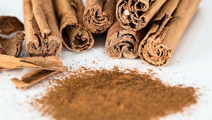 canela para las plantas