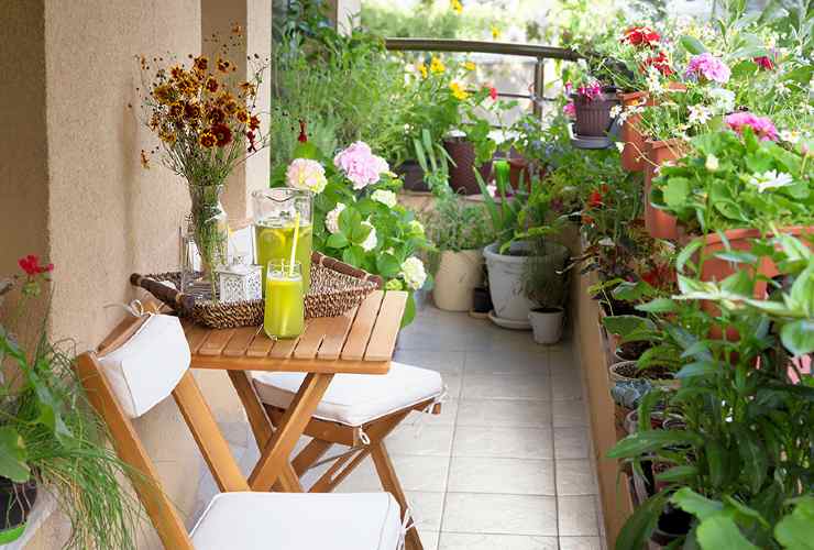 plantas en el balcon