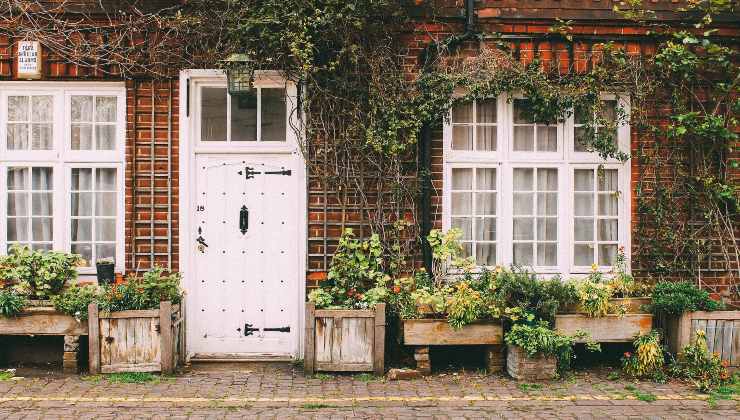Plantas: los ingredientes especiales