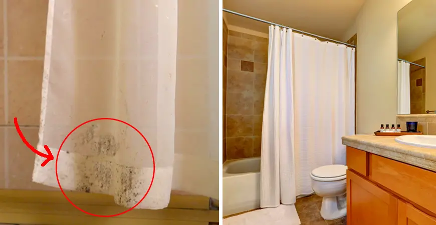 Como eliminar el moho de la cortina del baño – Mis Consejos Jardinería