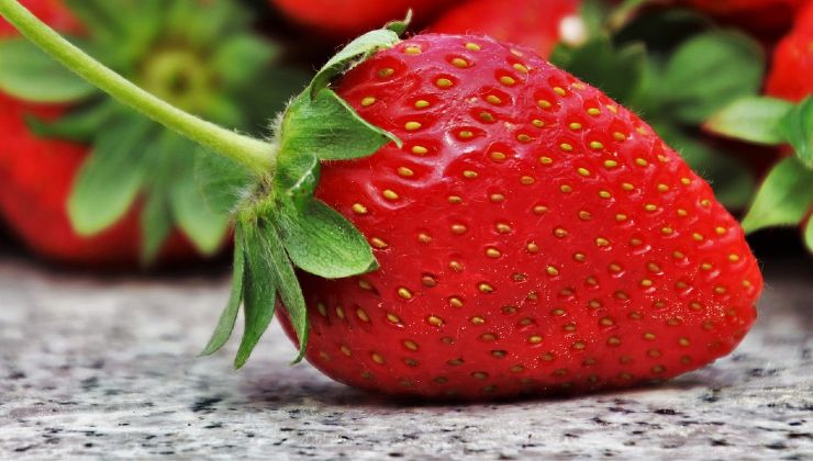 fresas rojas