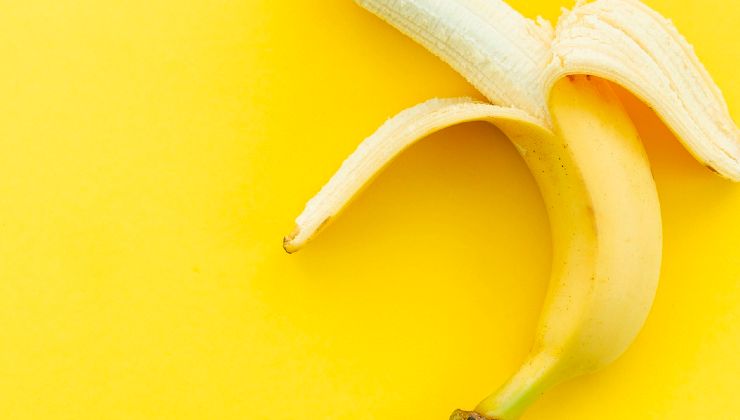 cáscaras de bananas