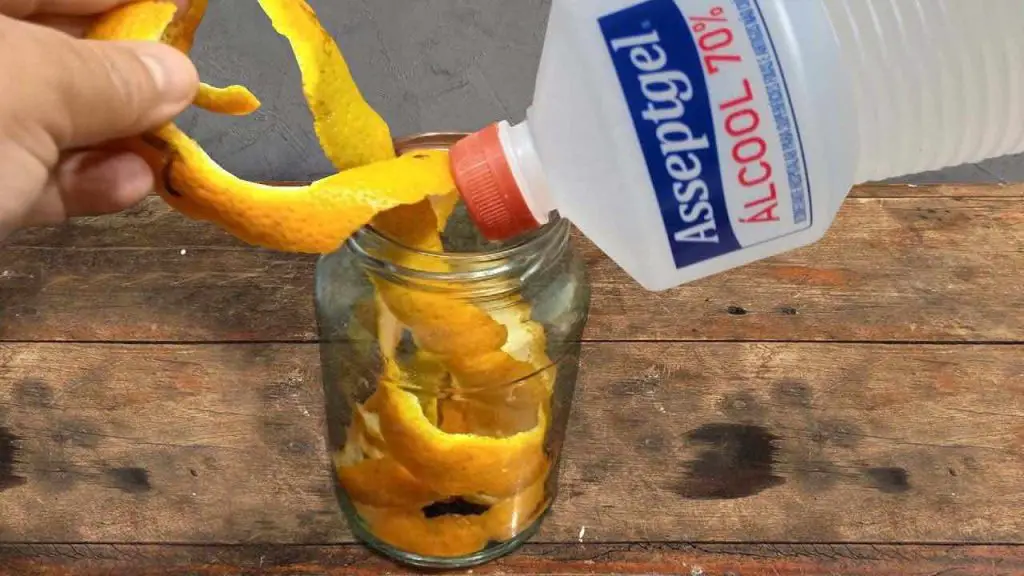 Cáscaras de naranja, si las pones en alcohol una vez, lo haces todo el tiempo. – Mis Consejos Jardinería