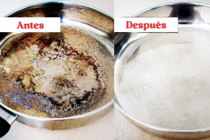 Macetas incrustadas: ¡se acabaron los detergentes! ¡Sin gastar 1 centavo estarán como nuevos! – Mis Consejos Jardinería