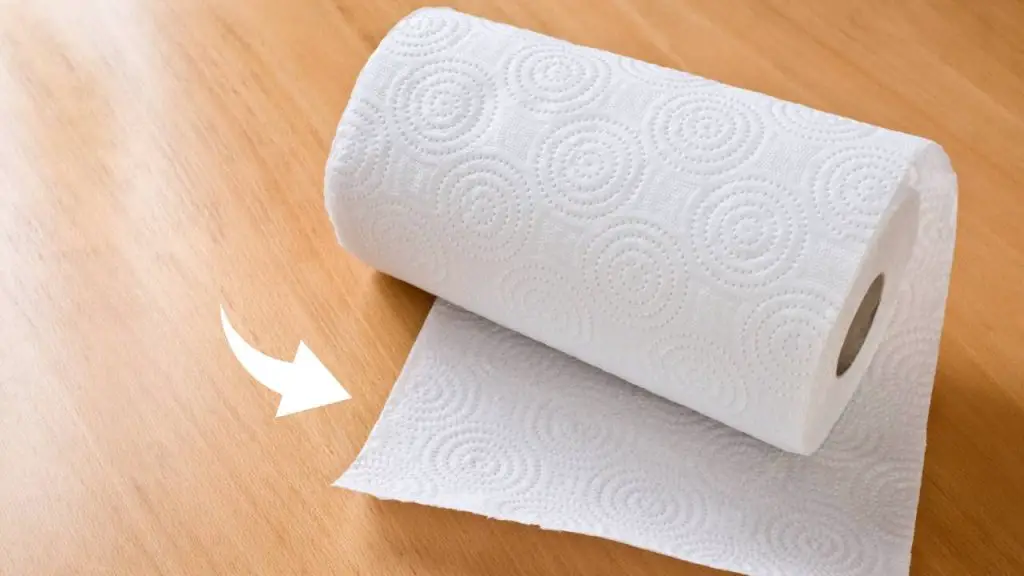 Rollo de papel absorbente, tiene un verso pero pocos lo conocían: como usarlo – Mis Consejos Jardinería