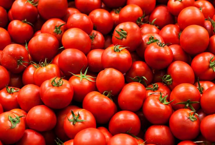 Tomates